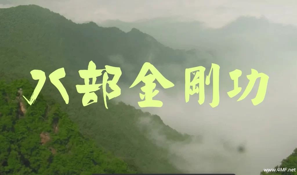 道爷张至顺八部金刚功、长寿功完整4K高清重置版-免费杂货铺