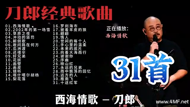 刀郎经典歌曲 2024 最火歌曲-免费杂货铺