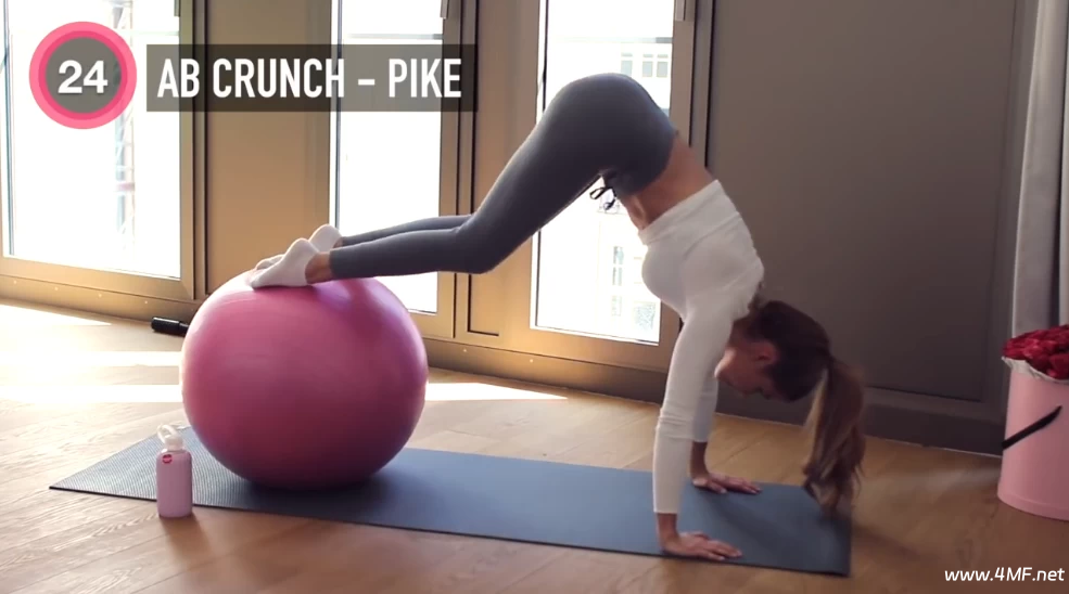 【学养生】《新帕梅拉健身全集》全面塑形减脂课程大合集-免费杂货铺