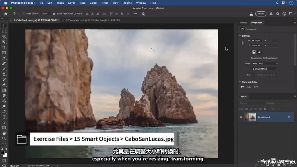 Photoshop 2025 全面核心技术训练教程-免费杂货铺
