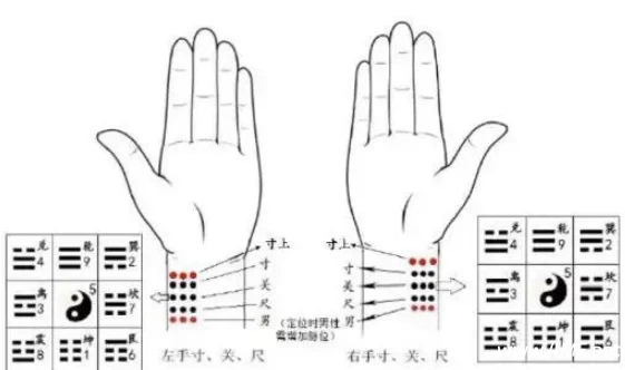 【学养生】太素脉法入门教程 秘传脉法断人吉凶-免费杂货铺