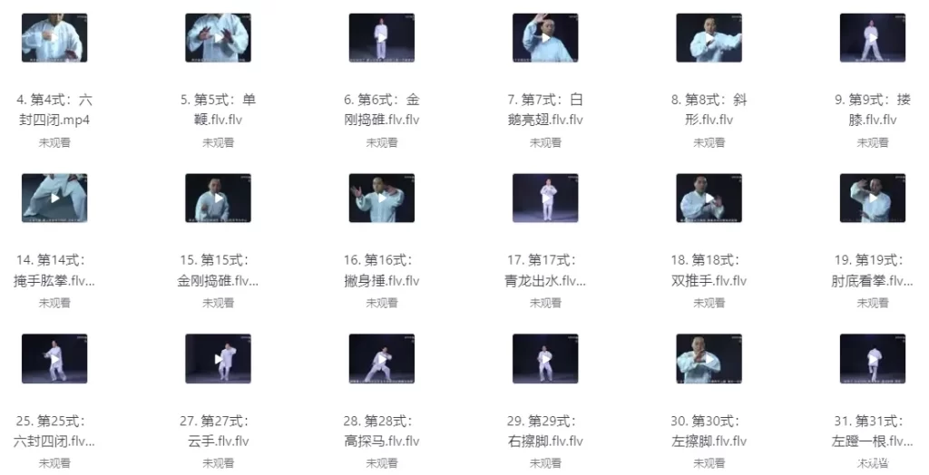 太极拳视频教程 养生必备-免费杂货铺