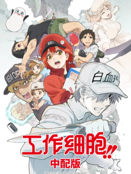 动画片 工作细胞 第二季(中配版)-免费杂货铺