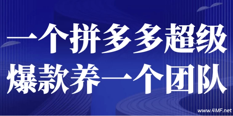 一个拼多多超级爆款养一个团队-免费杂货铺
