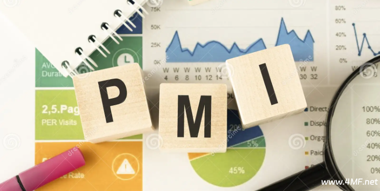 世界主要经济体制造业采购经理指数(PMI)的对比 - 2025.05-免费杂货铺