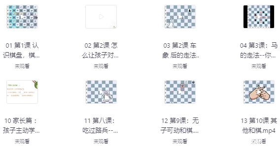 国际象棋零基础教学-免费杂货铺