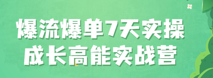 爆流爆单7天实操成长高能实战营视频教程-免费杂货铺
