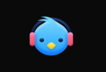 Lark Player (云雀播放器) v6.31.5 高级版-是免费.NET