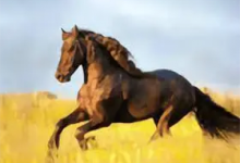 YourTV 你的电视TV v1.9.7 清爽版-是免费.NET