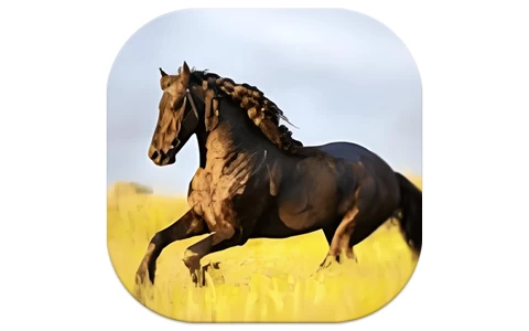 YourTV 你的电视TV v2.0.7 清爽版-是免费.NET