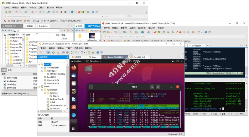 服务器管理工具包 Xshell8/Xftp8/Xmanager8 8.0.0016 免激活-免费杂货铺