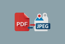 PDF转图片工具 ASCOMP PDF Imager Pro v2.011 便携版-是免费.NET