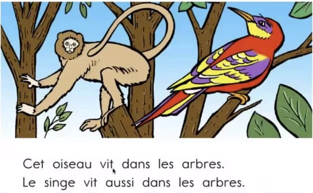 顶点教育|少儿法语课 French for youth-是免费.NET