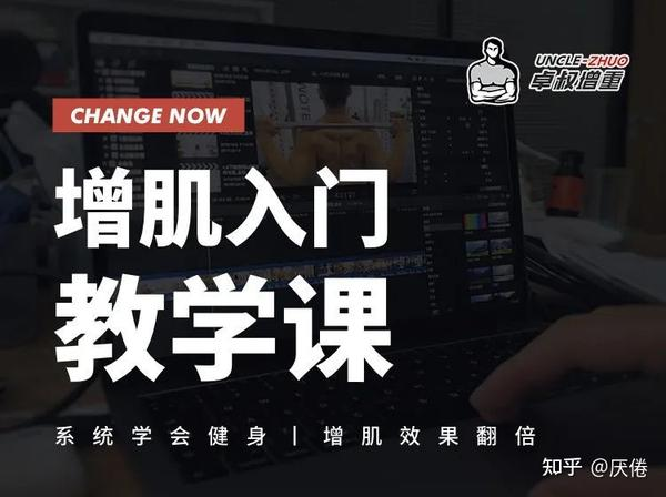 B站:卓叔增重:增肌饮食营养课-免费杂货铺