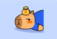 咔皮记账 v0.8.6 解锁会员｜自动记账 AI分析-是免费.NET