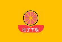 柚子下载 v1.5.6 高级版｜全能无广告下载神器-是免费.NET