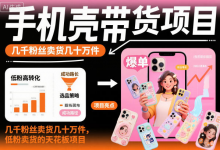 手机壳带货项目实操指南｜低粉账号卖出几十万件-是免费.NET