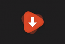 WDownloader v1.6.29 解锁高级版｜手机端视频下载工具-是免费.NET