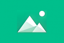 Piktures v2.24 build956 高级版 极简高效的安卓相册管理工具-是免费.NET