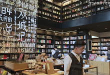 B站 - 杨宁老师的文学启示课,解锁经典作品的深层意义与审美体验-是免费.NET
