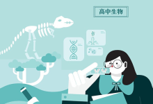 学而思高中9科知识点汇编+知识手册合集-是免费.NET