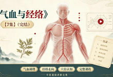 【健康养生】中医课程《气血与经络》-是免费.NET
