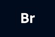 Adobe Bridge 2026 v16.0.7.36 直装解锁版KpoJIuK-是免费.NET