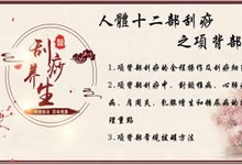 【中医课程】刘霞新版人体十二部刮痧视频课程(13集)-是免费.NET