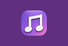 多平台音乐 DPmusic v1.2.13 多平台聚合音乐播放器-是免费.NET