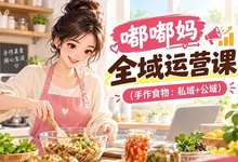 嘟嘟妈全域运营课完整版-是免费.NET