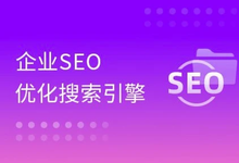 大咖带你玩转企业SEO搜索引擎优化-是免费.NET